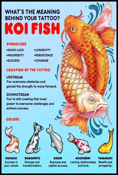 The meaning behind koi carp tattoos is rooted in Asian culture