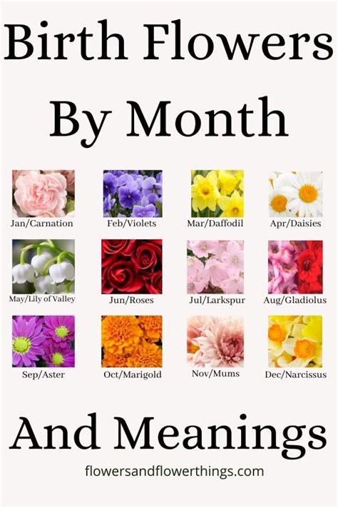 Meaning and Symbolism of Birth Flowers