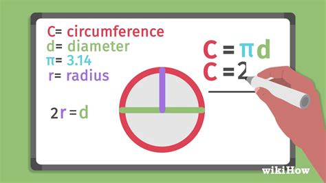 Measuring Circumference