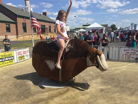 Mechanical bull riding techniques