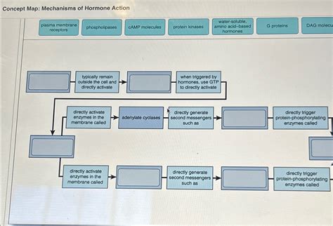 Mechanism of Action Concept Map