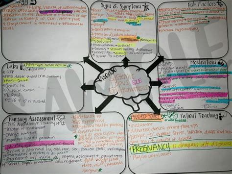 Med Surg Concept Map Template