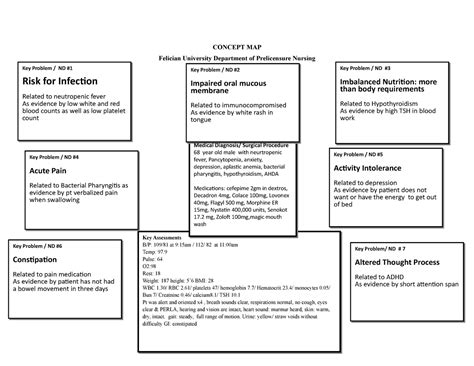 Med Surg Concept Map Template Example 3