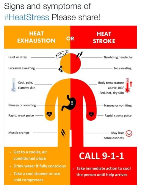 Medical Conditions that Can Affect Body Temperature