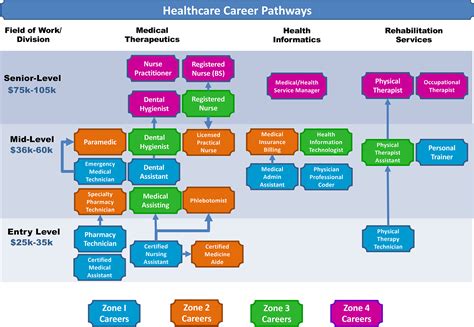 Medical Officer Career Path