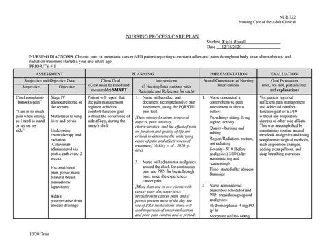 Medical-Surgical Care Plan Template Sample