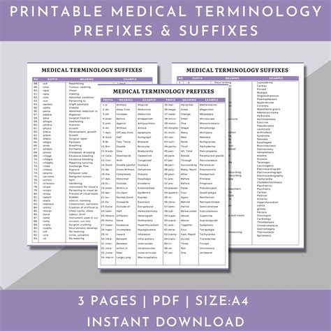 Medical Terminology Basics