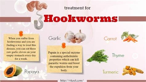 Medical Treatment for Hookworms