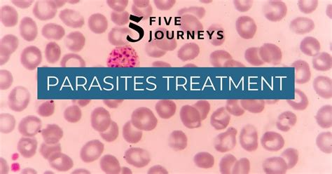 Medical treatment for parasites