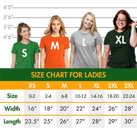 Medium T-Shirt Size