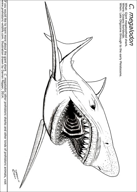 Megalodon coloring page for kids