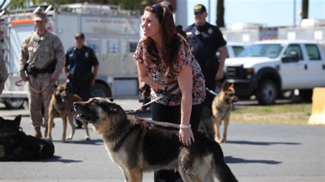 Megan Leavey and Rex's book cover