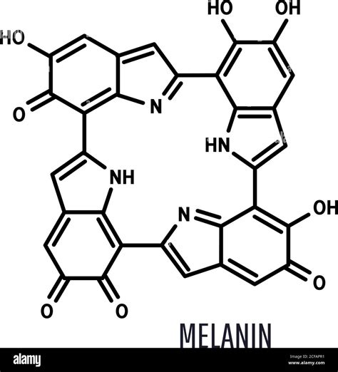 Melanin structure