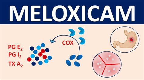 Meloxicam Mechanism of Action