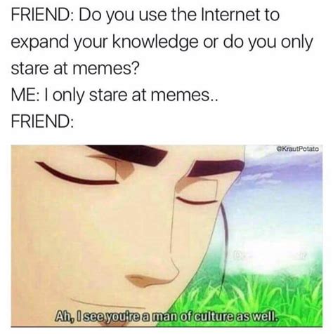 Why Can't You Be Normal Meme Culture