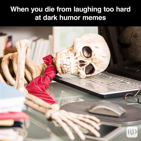 Memes and Humor