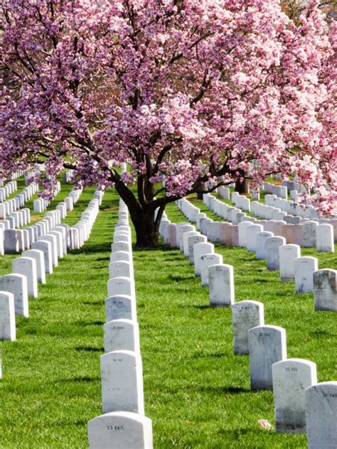 Memorial tree example