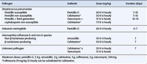 Meningitis Supportive Therapy Options