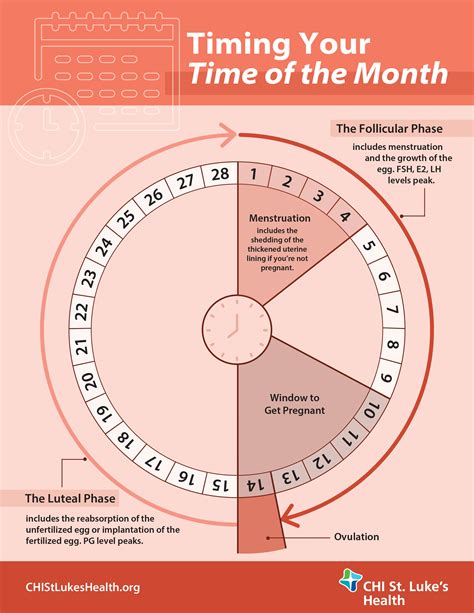 Menstrual age method for due date calculation in IVF