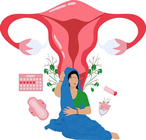 Description of Menstrual Health