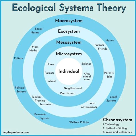 Mesosystem