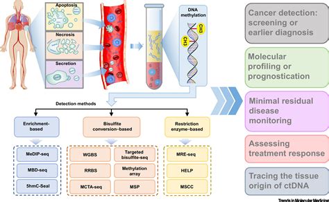 Methylation Test for Cancer Risk