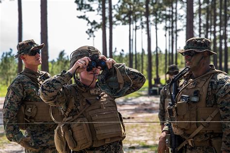 31st MEU Training