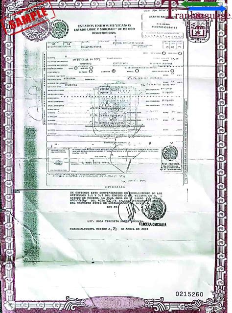 Mexican birth certificate translation