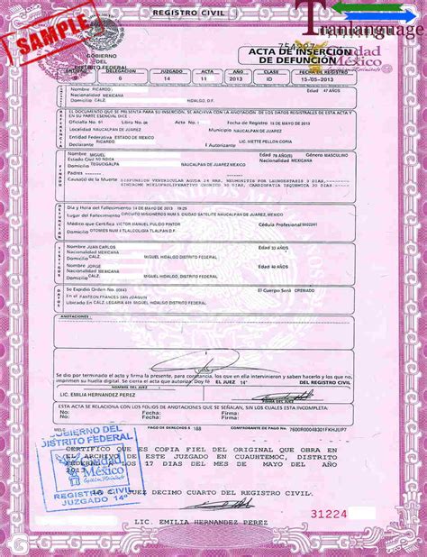 Mexican Death Certificate Translation