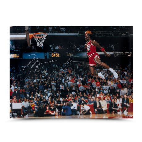 Michael Jordan picture