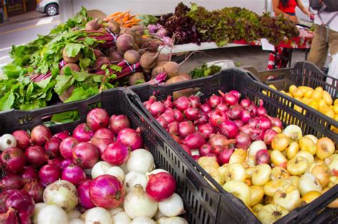 Michigan Food Stamps Farmers Market