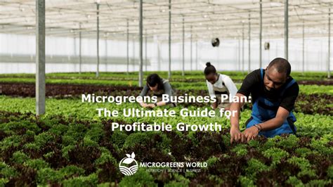 Microgreens business plan template