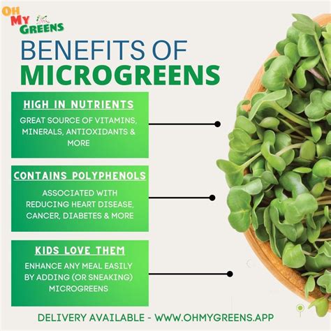 Microgreens health benefits