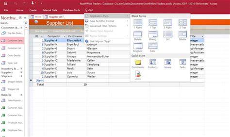 Microsoft Access Template Features