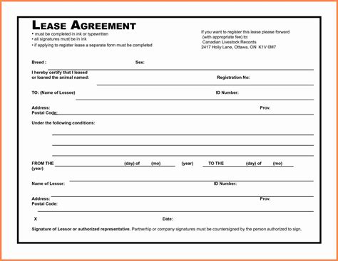 Microsoft Office Rental Agreement Template Terms