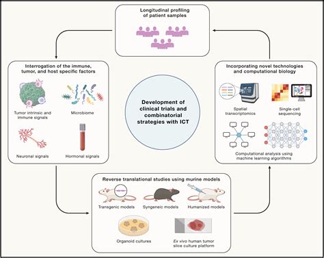 Microsporidia Future Directions