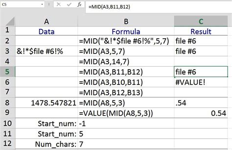 Mid function text extraction example