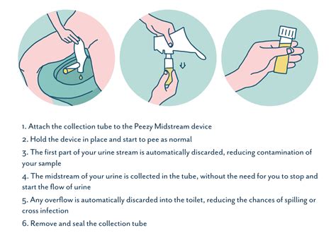 Midstream Urine Collection