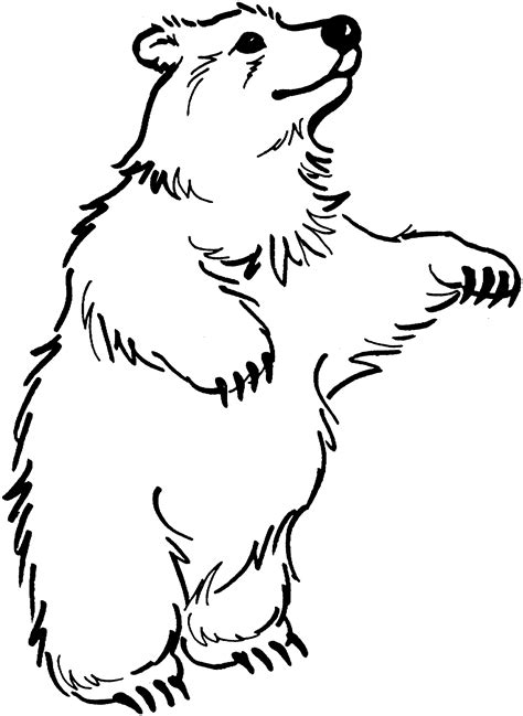 Mighty Bear Coloring Page