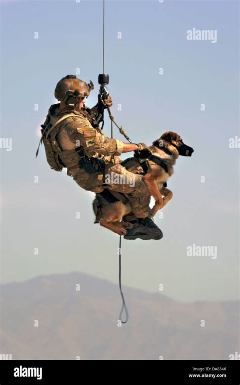 Military dog explosive detection training