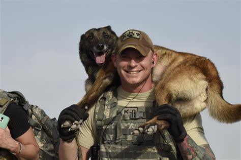 Military Dog Handler Career