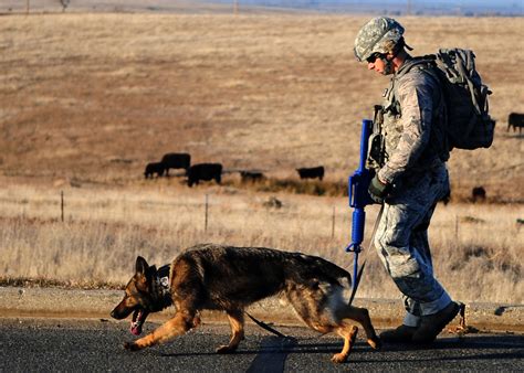 Military Dog Handler Humanitarian Missions