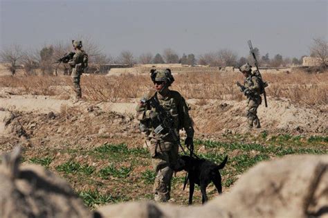 Military Dog Handler Job Description