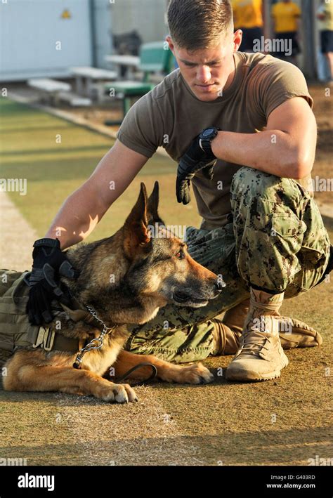 Military dog handlers in training