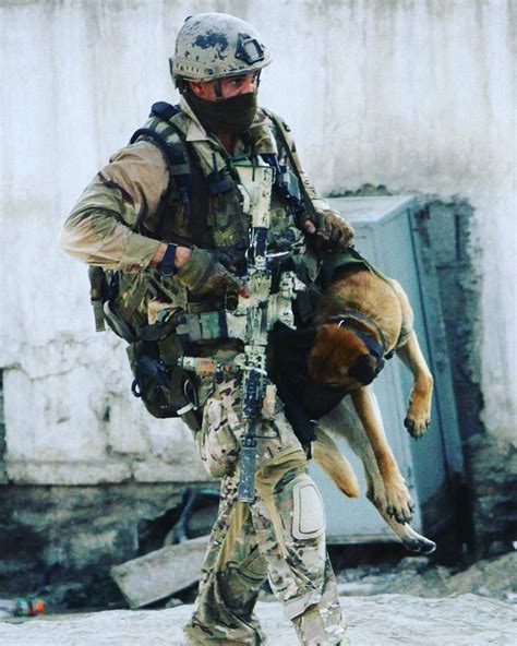 Military dogs devotion gallery