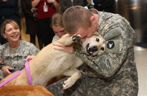 A military family moving with their pets