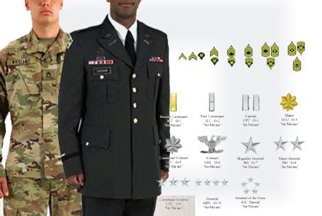 Military Officer Roles