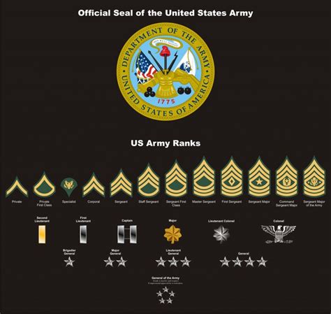 Military Police Officer Ranks