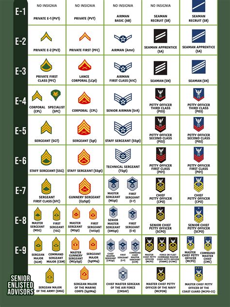 A diagram showing military ranks