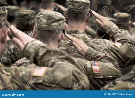 A group of soldiers saluting the flag